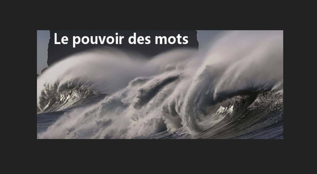 Le pouvoir des mots. La science du style