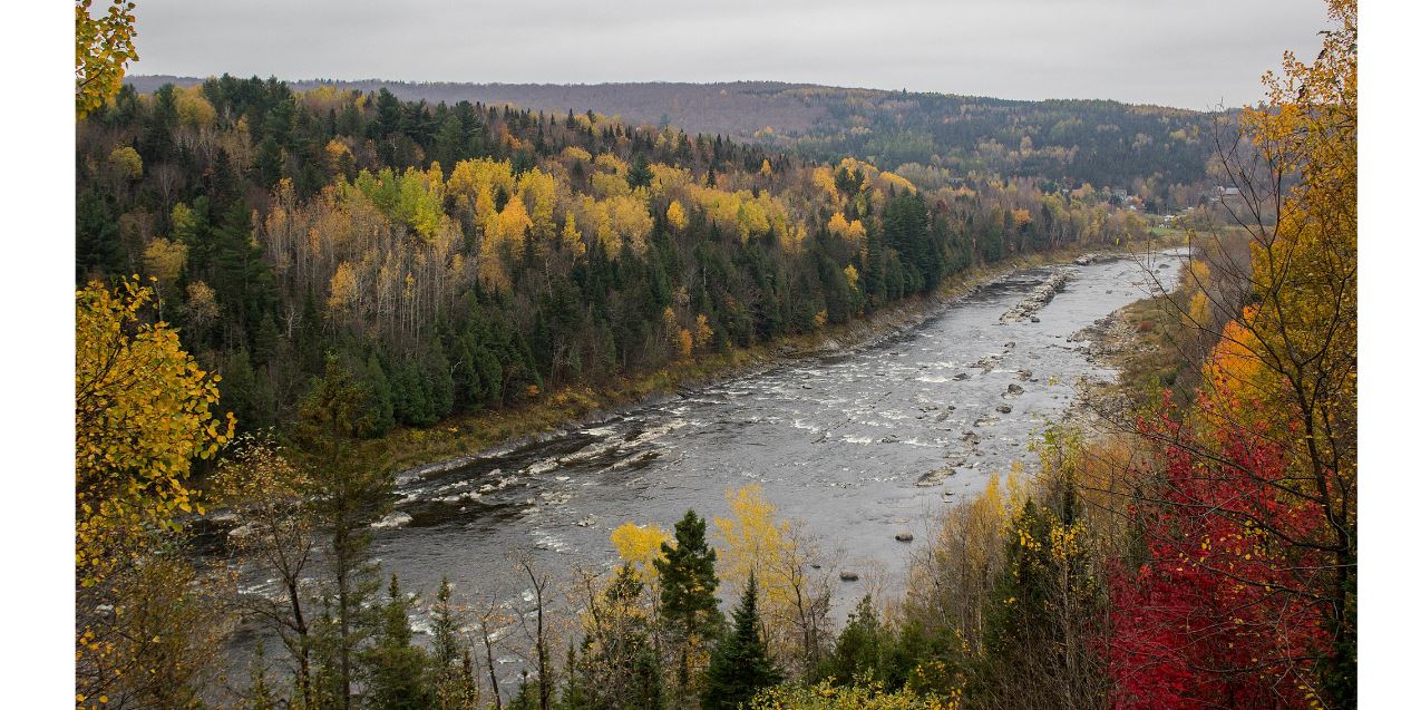 Les Jarrets noirs de la Beauce québécoise