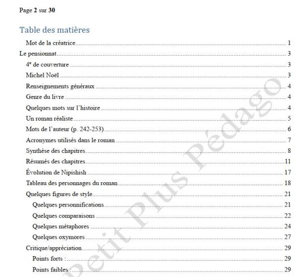 Analyse. Le Pensionnat de Michel Noël – Image 2