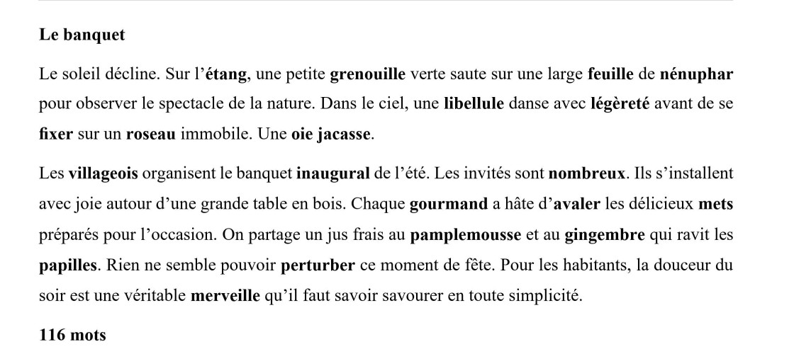Atelier dictée. Carnet 3. Série A – Image 3