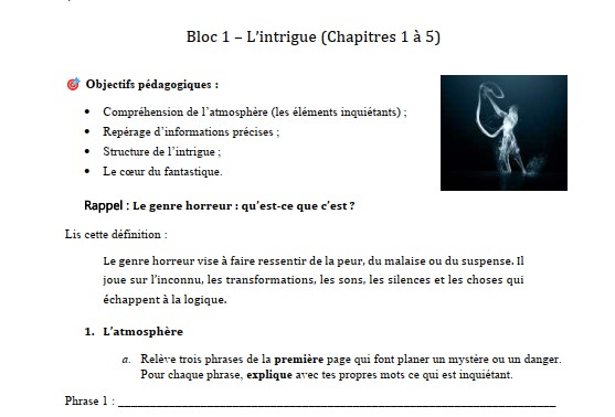 L'affaire Saint-Paul. Situation sur Entité de Mary Marleyne – Image 5