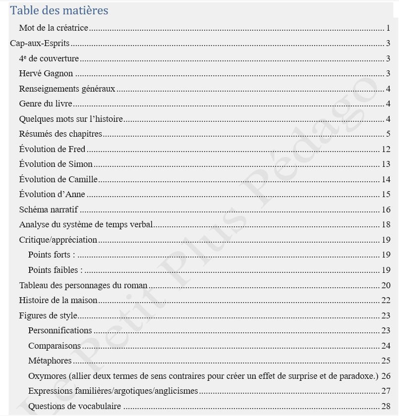 Comprendre. Cap-aux-Esprits d'Hervé Gagnon – Image 3