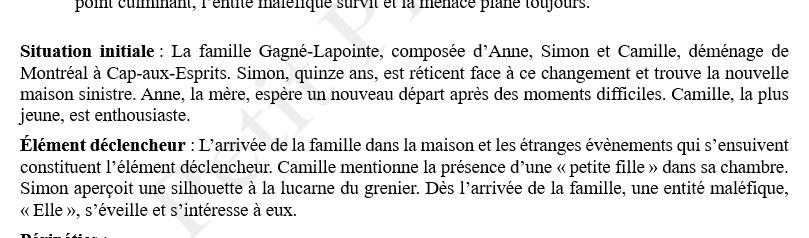 Comprendre. Cap-aux-Esprits d'Hervé Gagnon – Image 6