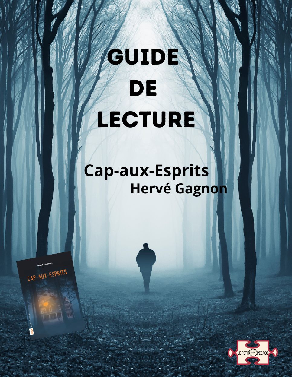Guide de lecture. Cap-aux-Esprits d'Hervé Gagnon