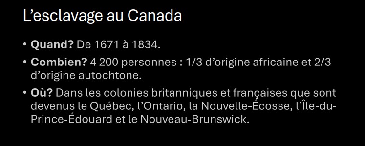 Découvrir l’esclavage à travers le roman Lygaya – Image 2