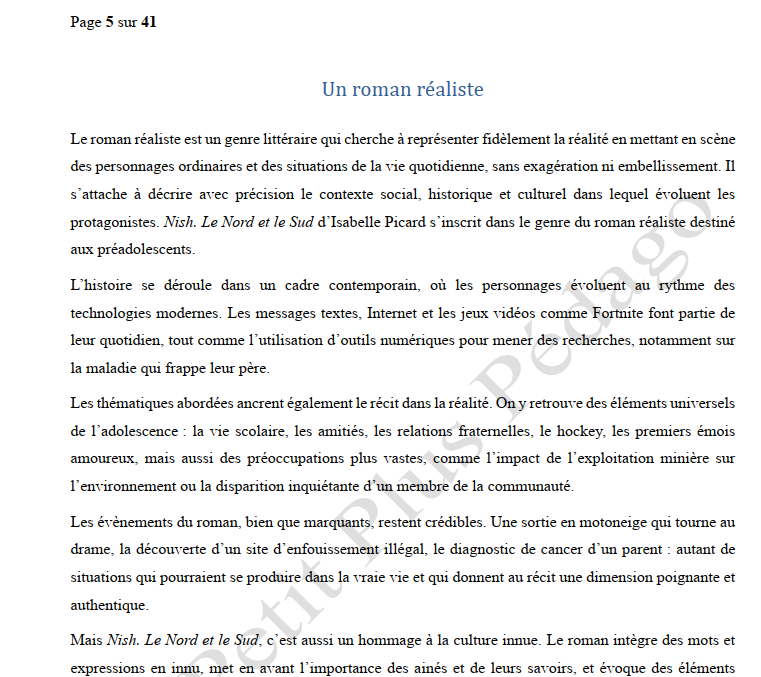 Guide de lecture. Nish. Le Nord et le Sud d’Isabelle Picard – Image 2