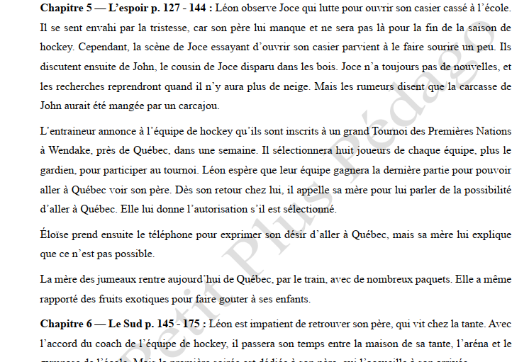 Guide de lecture. Nish. Le Nord et le Sud d’Isabelle Picard – Image 3