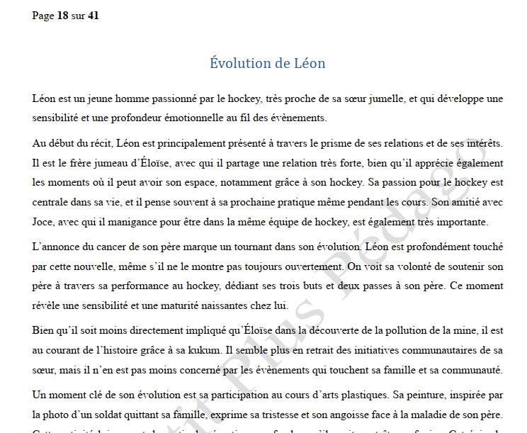 Guide de lecture. Nish. Le Nord et le Sud d’Isabelle Picard – Image 4