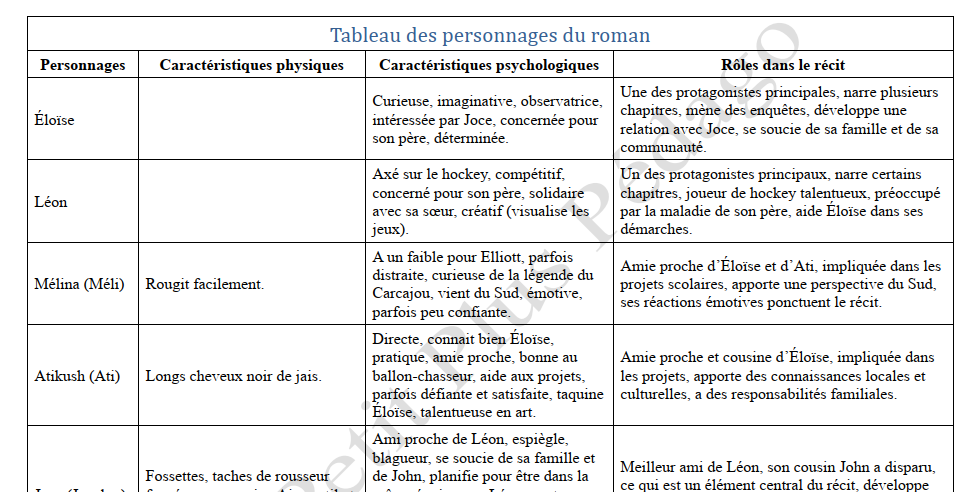 Guide de lecture. Nish. Le Nord et le Sud d’Isabelle Picard – Image 5
